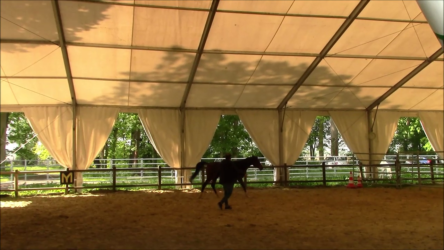 Equicoaching (13)