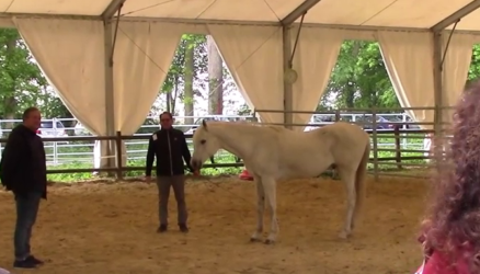 Equicoaching (5)